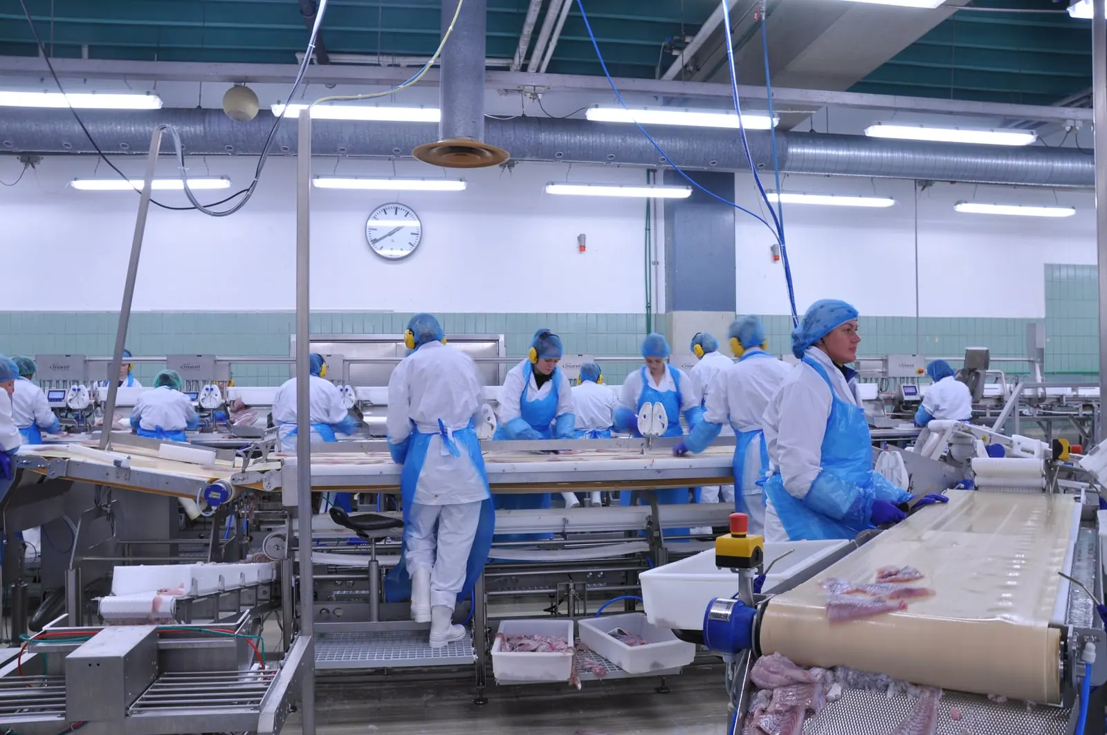 Hermesfish: company and industry context